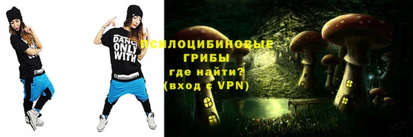 ешки Абинск